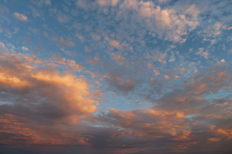 b0326576_21371568.jpg