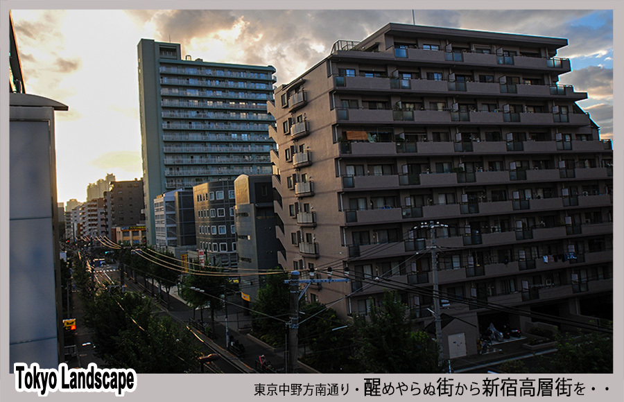 「東京風景」醒めやらぬ街から・・_c0009981_10183280.jpg