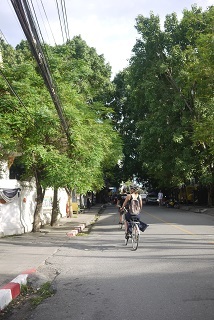 f0226293_09385342.jpg