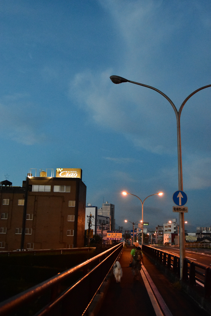 c0049299_22501472.jpg