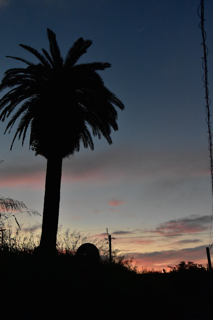 c0049299_22541884.jpg