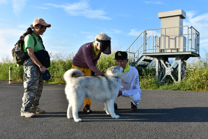 雨あがる・・・青空キターーーー　(^o^)_c0049299_23225267.jpg