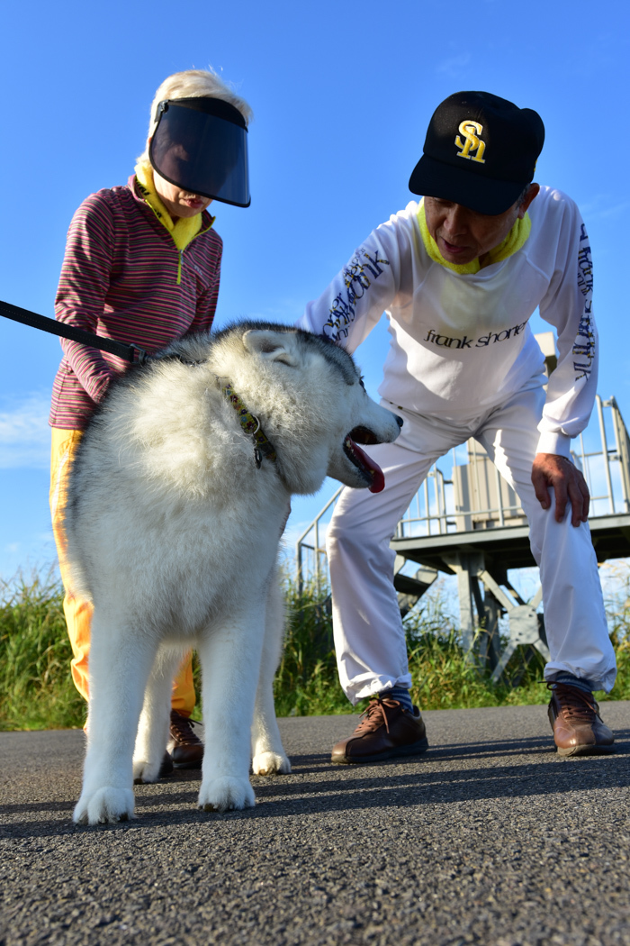 雨あがる・・・青空キターーーー　(^o^)_c0049299_23234969.jpg