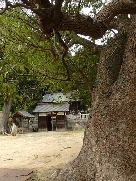 d0361999_14302263.jpg