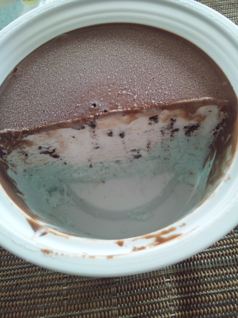 明治 Sweets氷ショコラミント_f0076001_0314698.jpg