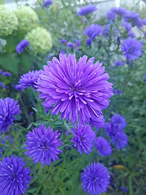 f0316507_16213661.jpg
