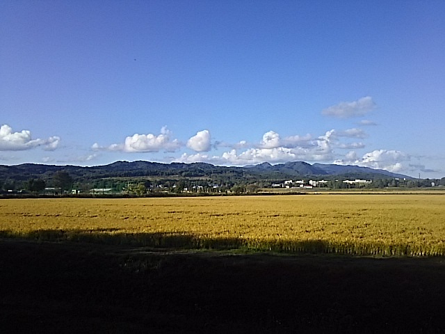 f0316507_16223272.jpg