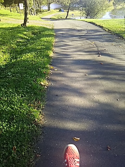 f0316507_16225239.jpg