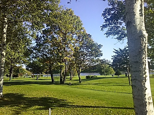 f0316507_16240031.jpg
