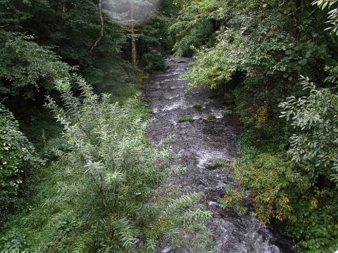 a0138609_15235045.jpg