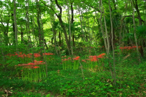 a0263109_09121525.jpg