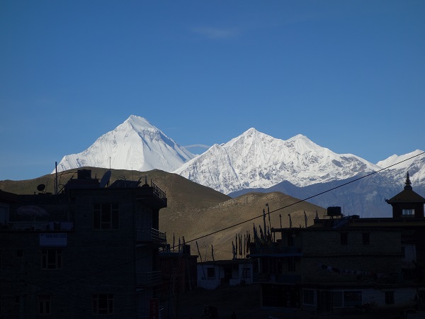d0360509_23221987.jpg