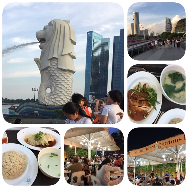 シンガポール旅行メモ 4日目(最終日)_c0229423_23343433.jpg