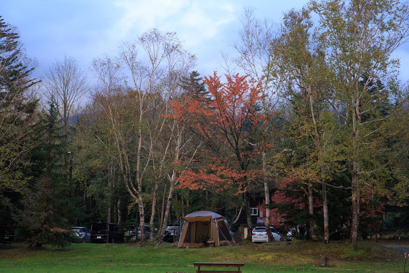 b0243727_20475693.jpg