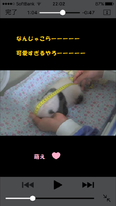 b0102728_14511537.png