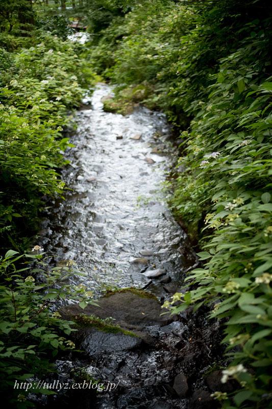 d0108132_23595416.jpg