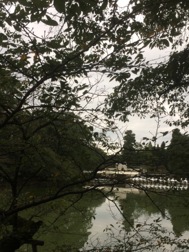 f0327534_08073610.jpg