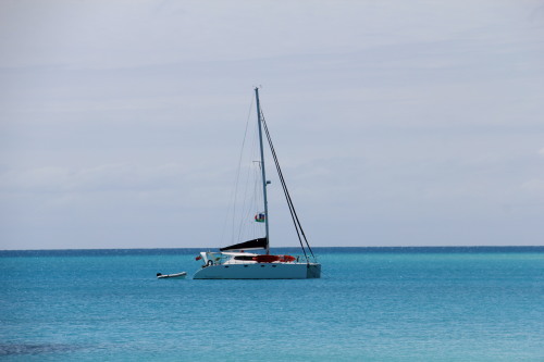 c0011649_20565706.jpg