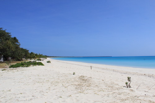 c0011649_20572974.jpg