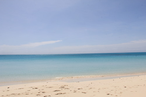 c0011649_21001532.jpg
