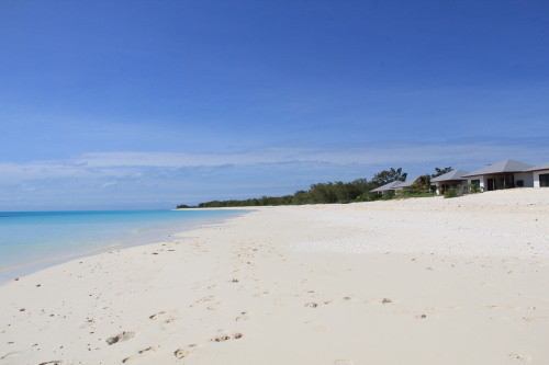c0011649_21013465.jpg
