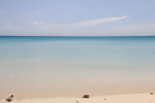 c0011649_21402651.jpg