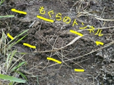c0330749_18354444.jpg