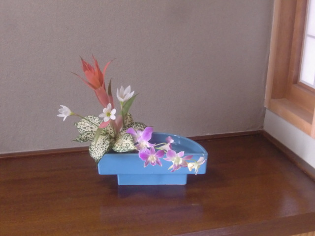 f0329849_12015496.jpg