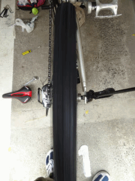 e0033751_1358567.gif