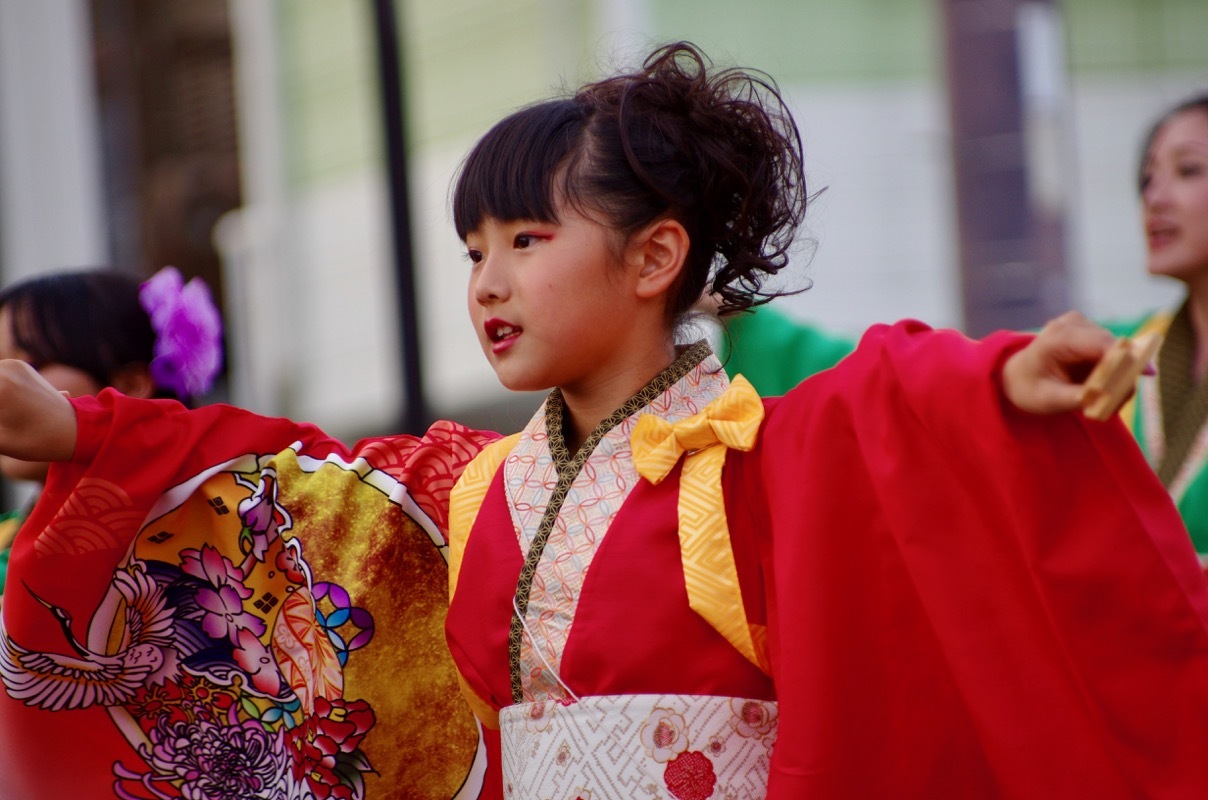 ２０１７銭形よさこい祭りその３４（舞信迦具夜）_a0009554_13414536.jpg