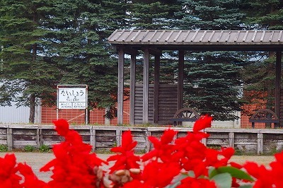 b0171771_07341330.jpg