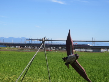 利根川自転車道で前橋ポタ　1_c0337875_16370839.jpg