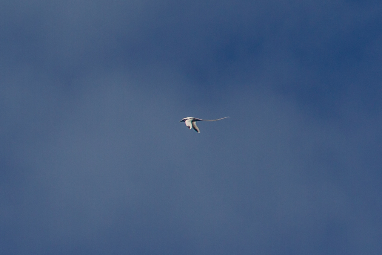 a0052080_23334945.jpg