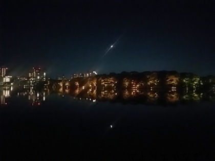 a0257080_21065600.jpg