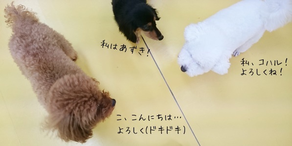 今日も元気いっぱい!_f0357682_14555283.jpg