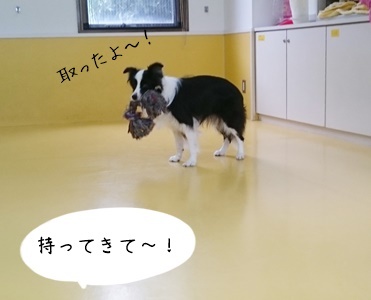今日も元気いっぱい!_f0357682_14560262.jpg