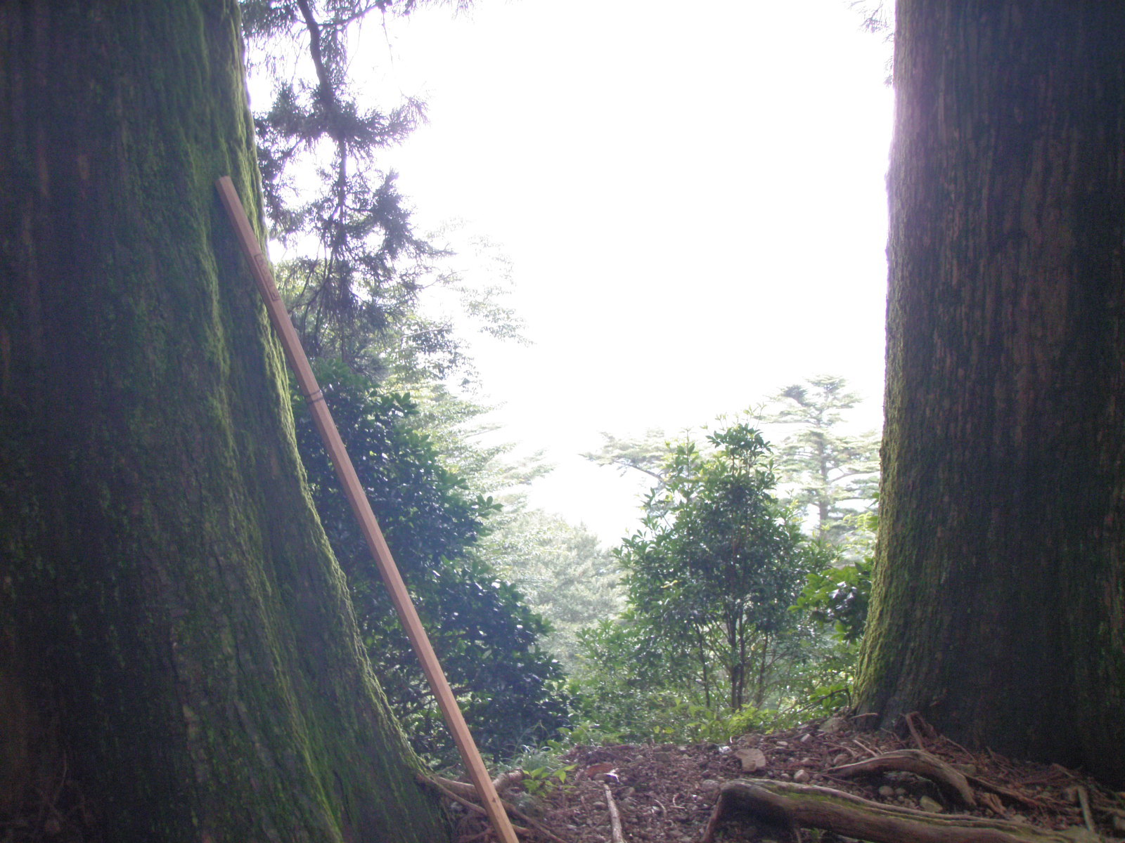 神聖な山、大山_b0199487_17473603.jpg