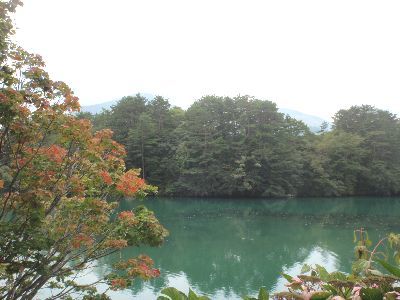 五色沼探勝路の小さい秋_a0096989_09570828.jpg