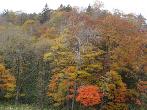 c0171889_2104645.jpg