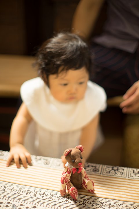 かわいい訪問者_d0353489_23521621.jpg
