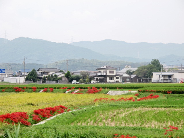 b0302299_20305285.jpg