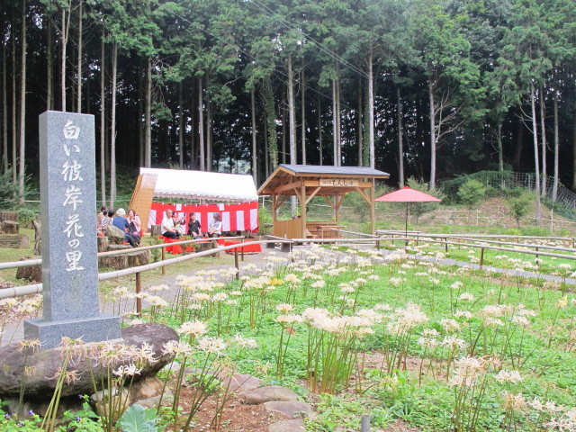 b0302299_20384930.jpg