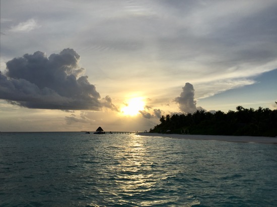 e0338303_844218.jpg