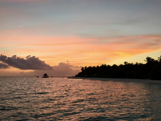 e0338303_8454397.jpg