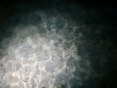 e0338303_846193.jpg