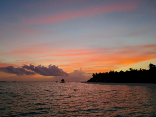 e0338303_84696.jpg