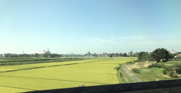 c0212604_9544982.jpg