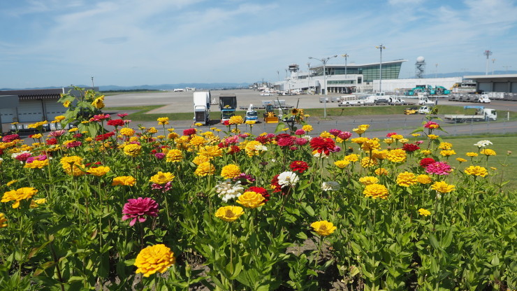 北海道に行ってきました 5_f0203707_13555818.jpg