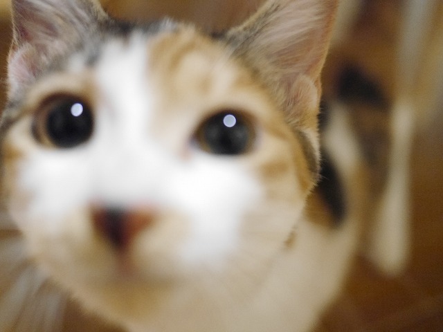 f0282319_20510067.jpg