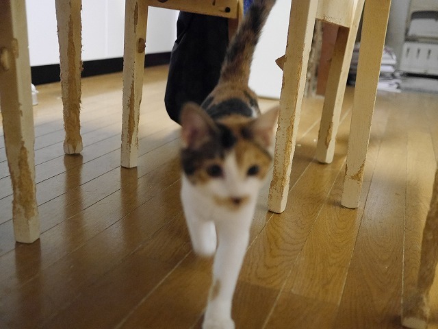 f0282319_20511497.jpg